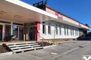 Gewerbeimmobilie kaufen in 4910 Ried im Innkreis, Ertragsobjekt - Vielseitig verwendbare Geschäftsflächen (zur Gänze vermietet)