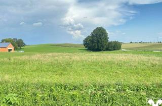 Grundstück zu kaufen in 4751 Dorf, Letzter Baugrund in sonniger Siedlungslage