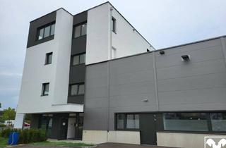 Büro zu mieten in 4061 Pasching, NEUBAU - Büro im 1. Obergeschoss