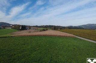 Grundstück zu kaufen in 4060 Leonding, Landwirtschaftlicher Nutzgrund direkt an Aichbergstraße