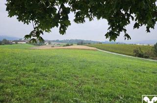 Grundstück zu kaufen in 4060 Leonding, Landwirtschaftliche Nutzgründe - 3 Grundstücke
