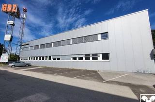 Büro zu mieten in 4050 Traun, Barrierefreie Büroflächen