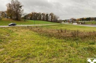 Grundstück zu kaufen in 4323 Münzbach, Mein Baugrund in Münzbach: nur mehr 1 Baugrund verfügbar-Neuer Preis!