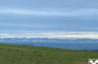 Grundstück zu kaufen in 4322 Windhaag bei Perg, Mein Baugrund im Weingarten (6 Baugründe ab ca 841m2 inkl Trenngrün)