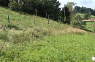 Grundstück zu kaufen in 4372 Sankt Georgen am Walde, Baugrund in Siedlungslage