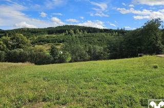 Grundstück zu kaufen in 4272 Weitersfelden, Schöner Baugrund in Siedlungslage am Ortsrand