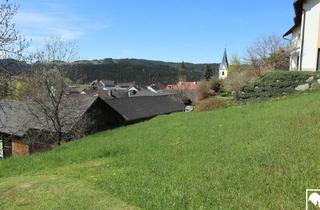 Grundstück zu kaufen in 4272 Weitersfelden, Sehr sonniger Baugrund in Siedlungslage
