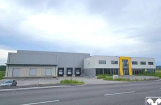 Lager mieten in Im Südpark, 4030 Linz, Vermietung Gewerbeobjekt - 4030 Linz, Im Südpark TEILFLÄCHEN möglich