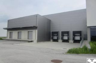 Lager mieten in Im Südpark, 4030 Linz, Lager und Tiefkühllager Vermietung Gewerbeobjekt - 4030 Linz, Im Südpark