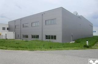 Lager mieten in Im Südpark, 4030 Linz, Produktion und Lager Vermietung Gewerbeobjekt - 4030 Linz, Im Südpark