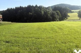 Grundstück zu kaufen in 4212 Neumarkt im Mühlkreis, Wald- und landwirtschaftliche Nutzflächen