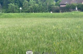 Grundstück zu kaufen in 3004 Riederberg, Baugrund Für ihr Eigenheim in Ried am Riederberg ohne Bauzwang - Leben im Wienerwald