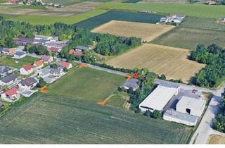 Grundstück zu kaufen in 4614 Marchtrenk, 4 Gewerbegrundstücke in Marchtrenk zw. 1000 und 1080 m² - Widmung B und MB