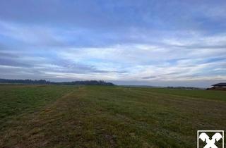 Grundstück zu kaufen in 3910 Oberstrahlbach, GROSSGLOBNITZ - NEU ERSCHLOSSENE BAUGRUNDSTÜCKE