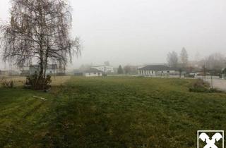 Grundstück zu kaufen in 3931 Schweiggers, Baugrundstücke Schweiggers