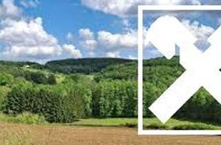 Grundstück zu kaufen in 7545 Neustift, Wald & Wiese & Bauland!
