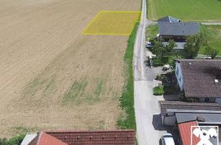 Grundstück zu kaufen in 3313 Igelschwang, Baugrundstück 747 m2 (aufgeschlossen) in 3313 Wallsee - Igelschwang, Widmung: BA