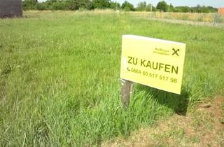 Grundstück zu kaufen in 7083 Purbach am Neusiedler See, Leistbares Eckgrundstück, Aufgeschlossen mit Bauzwang bis 2029 !