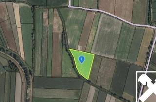 Grundstück zu kaufen in 3463 Eggendorf am Wagram, ACKERFLÄCHE IN EGGENDORF AM WAGRAM - ZUSAMMENHÄNGENDE LANDWIRTSCHAFTLICHE FLÄCHE