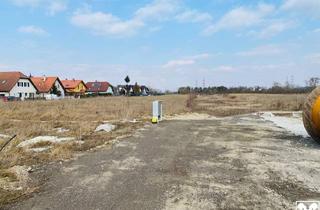Grundstück zu kaufen in 3452 Trasdorf, BAUGRUNDSTÜCK AM FÖHRENSEE IN TRASDORF INMITTEN DER NATUR AN FELDER DER REGION ANGRENZEND