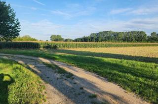 Grundstück zu kaufen in 3441 Freundorf, EINE SELTENE GELEGENHEIT AUF EINE KLEINE ACKERFLÄCHE IN FREUNDORF - ZUSAMMENHÄNGENDE LANDWIRTSCHAFTLICHE FLÄCHE