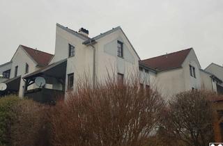 Wohnung kaufen in 3454 Sitzenberg, TOLLE, GROSSZÜGIGE FAMILIENWOHNUNG IN RUHIGER WOHNLAGE