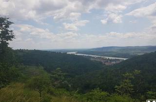 Grundstück zu kaufen in 3500 Egelsee, FREIZEITPARADIES FÜR HOBBYGÄRTNER IN EINZIGARTIGER AUSSICHTSLAGE MIT DONAUBLICK - KEIN BAUGRUNDSTÜCK!