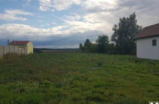 Grundstück zu kaufen in 3462 Absdorf, RARITÄT: BAUGRUNDSTÜCK IN ABSDORF OHNE BAUZWANG IN UNVERBAUBARER AUSSICHTSLAGE