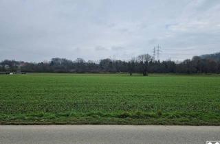 Grundstück zu kaufen in 3130 Herzogenburg, RARITÄT: ZUSAMMENHÄNGENDE LIEGENSCHAFT ALS KAPITALANLAGE DIREKT AN DER DERZEITIGEN BAULANDGRENZE ODER GRUNDSTÜCK MIT HOHEM UMWIDMUNGSPOTENTIAL