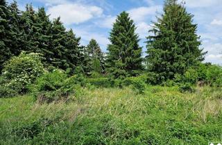 Grundstück zu kaufen in 3484 Grafenwörth, GELDANLAGE OHNE BAUZWANG MIT BAUTRÄGEREIGNUNG ODER IHR GRUNDSTÜCK FÜR EIN TRAUMHAUS IN RUHIGER SIEDLUNGSLAGE