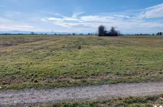 Grundstück zu kaufen in 3464 Seitzersdorf-Wolfpassing, KLEINE ACKERFLÄCHE MIT GUTER BONITÄT IN SEITZERSDORF-WOLFPASSING