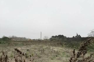 Grundstück zu kaufen in 2102 Hagenbrunn, SICHERE KAPITALANLAGE STATT INFLATION - GRUNDSTÜCK MIT HOHEM UMWIDMUNGSPOTENTIAL