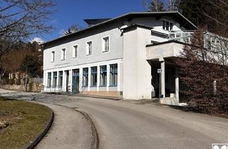 Büro zu mieten in 3270 Scheibbs, Büro, Geschäftslokal, Ordination