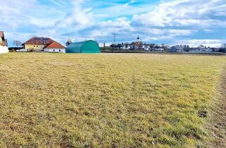 Grundstück zu kaufen in 3243 Haindorf, SIE SUCHEN VIEL BAUFLÄCHE