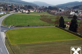 Grundstück zu kaufen in 3683 Yspertal, Großes BAUGRUNDSTÜCK im Yspertal - Widmung Bauland/Wohnen