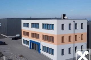 Büro zu mieten in 3300 Amstetten, Gediegene Bürofläche in Amstettner Betriebsgebiet Nord - Obergeschoss 1!