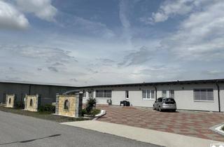 Lager mieten in 2130 Mistelbach, Modernes Gewerbeobjekt im Wirtschaftspark Mistelbach/Hobersdorf zu Mieten/Kaufoption