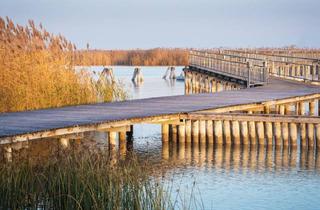 Haus kaufen in 7071 Rust, "The Lagoon" - Modern - Nachhaltig - Elegant PROVISIONSFREI