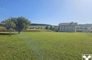 Haus kaufen in 4733 Heiligenberg, Wohnhaus inkl. Baugrund und landwirtschaftlichen Grundflächen