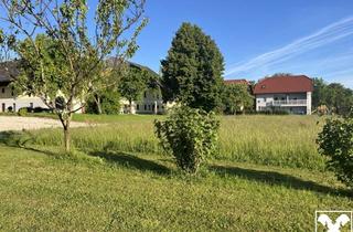 Grundstück zu kaufen in 4693 Desselbrunn, Wohnen im Grünen - Baugrundstück in idyllischer Lage