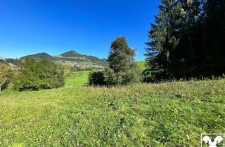 Grundstück zu kaufen in 4463 Großraming, Ihre Gelegenheit: Baugrund - Weitblick - Wald