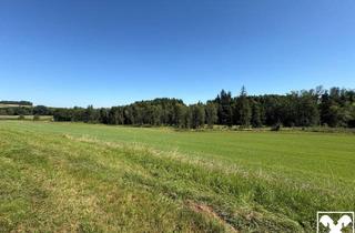 Grundstück zu kaufen in 4972 Utzenaich, LN-Grund Wiese und Ackerflächen