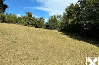 Grundstück zu kaufen in 4225 Luftenberg, Toller Baugrund nähe Linz und ohne Bauzwang