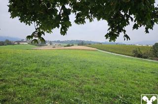 Grundstück zu kaufen in 4060 Leonding, Landwirtschaftliche Nutzgründe - 3 Grundstücke