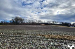 Grundstück zu kaufen in 4072 Alkoven, Landwirtschaftlicher Nutzgrund in Alkoven