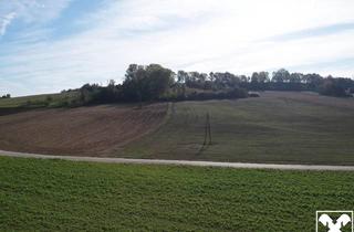 Grundstück zu kaufen in 4072 Alkoven, Landwirtschaftlicher Nutzgrund