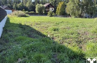 Grundstück zu kaufen in 4655 Vorchdorf, Baugrundstück 130/16 im Ortsteil Fischböckau