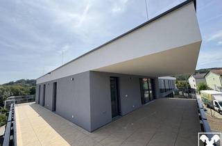 Penthouse kaufen in 4048 Puchenau, Harmonia Puchenau - Penthouse | Erstbezug | Neubau