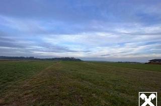 Grundstück zu kaufen in 3910 Oberstrahlbach, GROSSGLOBNITZ - NEU ERSCHLOSSENE BAUGRUNDSTÜCKE