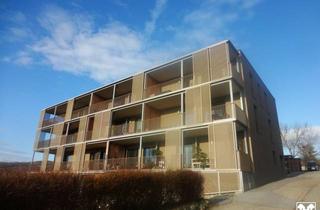 Wohnung mieten in 7083 Purbach am Neusiedler See, Warmmiete incl. Heizung - Repräsentative Mietwohnung mit Küche und unverbaubarem Seeblick in ruhiger Lage!